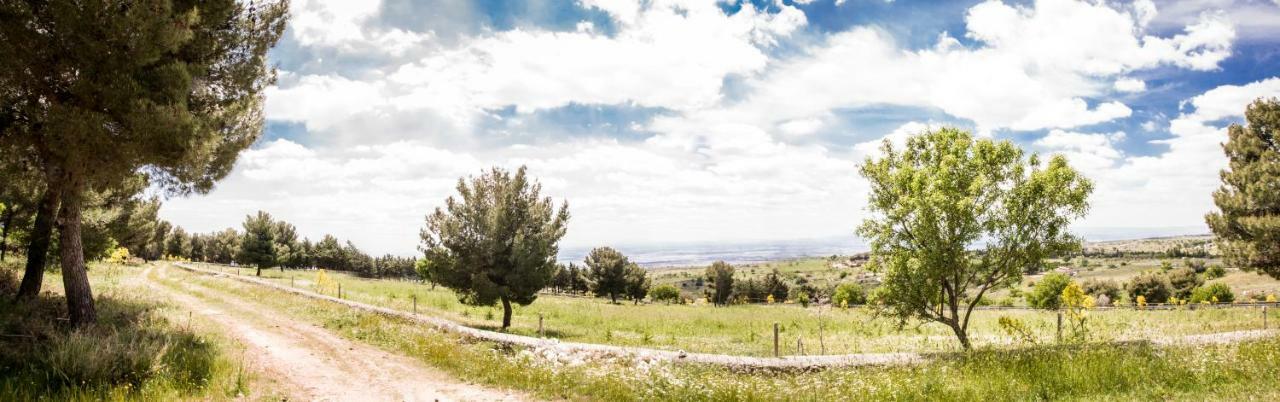 Poggio Active Hotel Σαν Τζιοβάνι Ροτόντο Εξωτερικό φωτογραφία