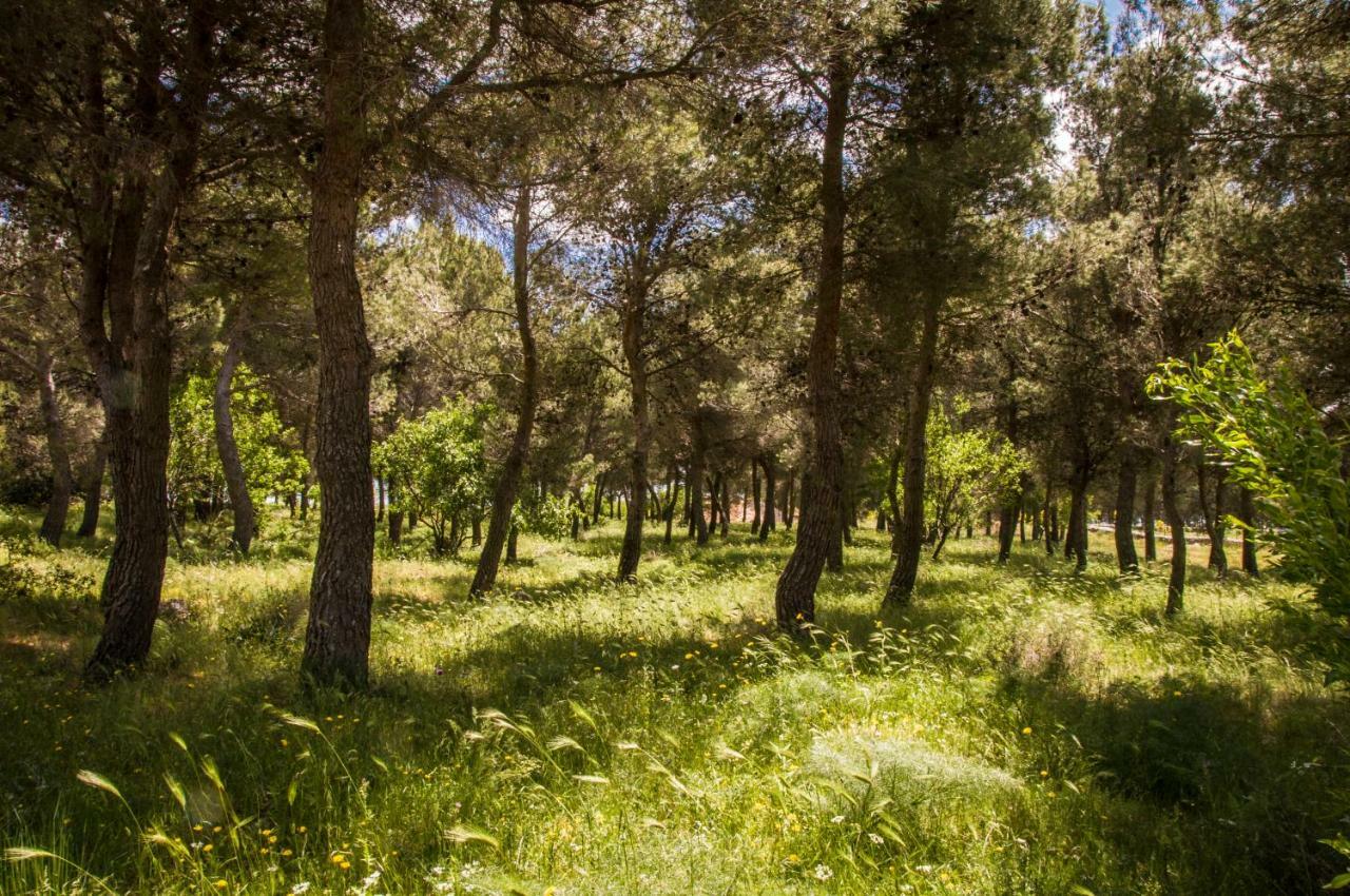 Poggio Active Hotel Σαν Τζιοβάνι Ροτόντο Εξωτερικό φωτογραφία