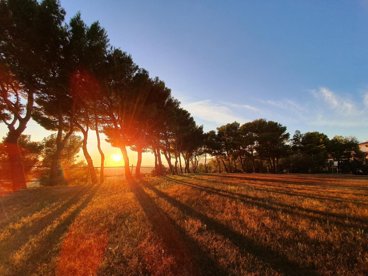 Poggio Active Hotel Σαν Τζιοβάνι Ροτόντο Εξωτερικό φωτογραφία